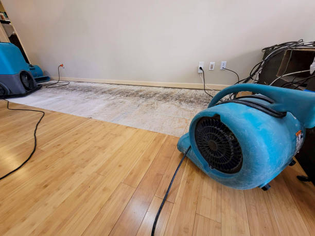24/7 Emergency Structural Drying experts in De Soto, IL